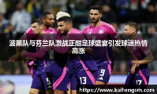 波黑队与芬兰队激战正酣足球盛宴引发球迷热情高涨